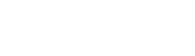 Follow The Fox 